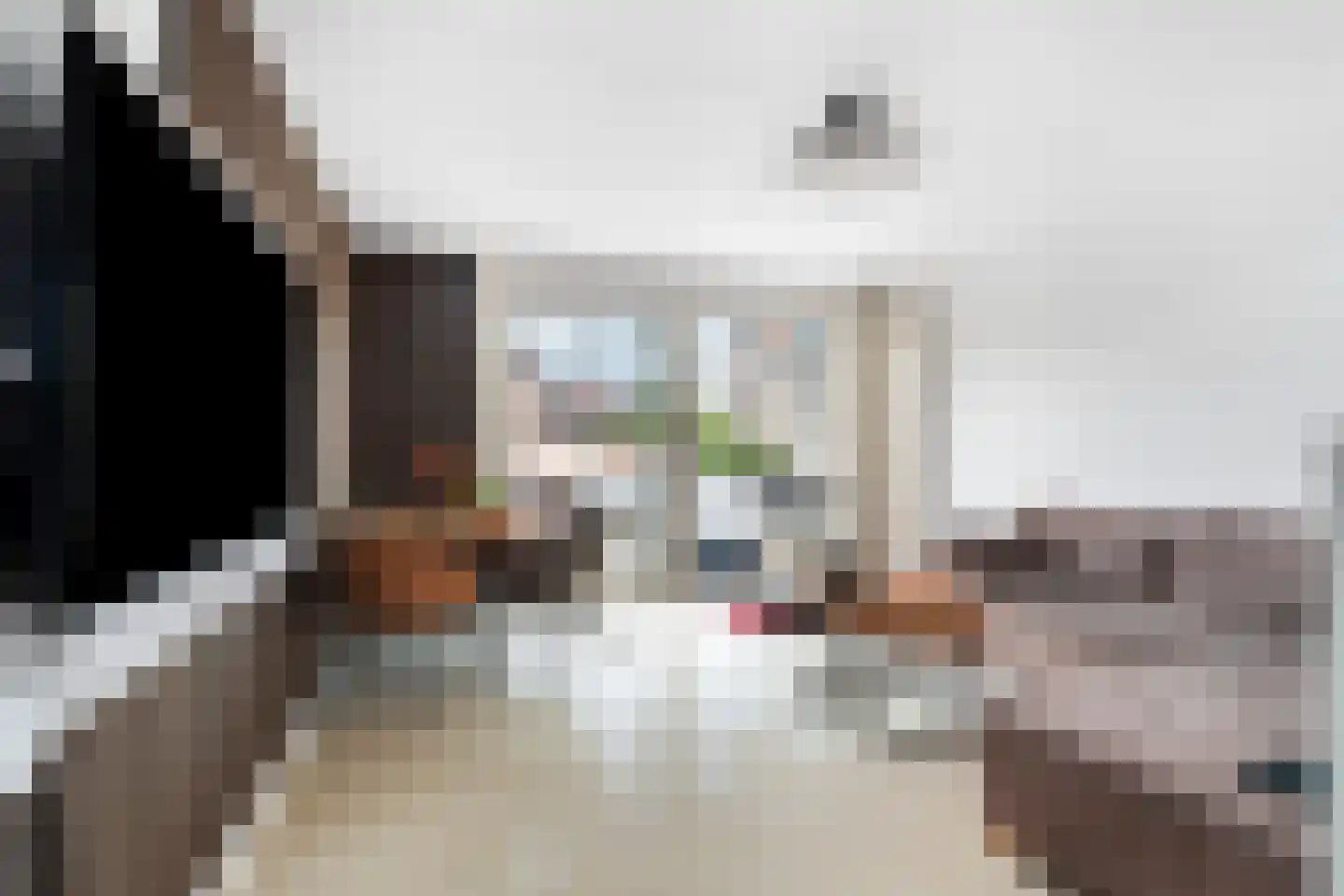 Jekerdal 22 Capelle aan den IJssel thumbnail 4