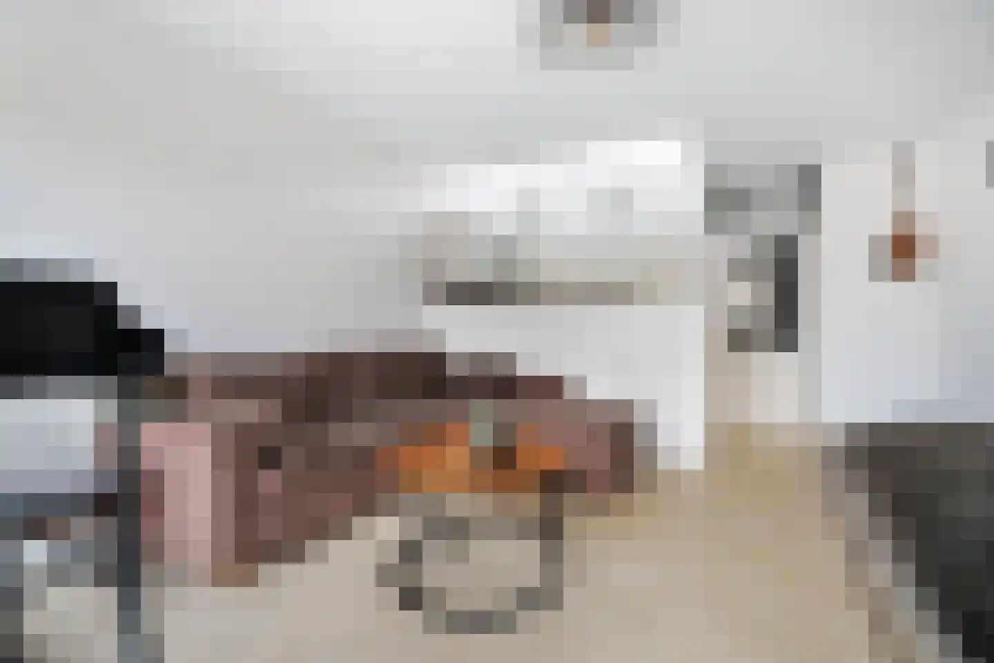 Jekerdal 22 Capelle aan den IJssel thumbnail 9