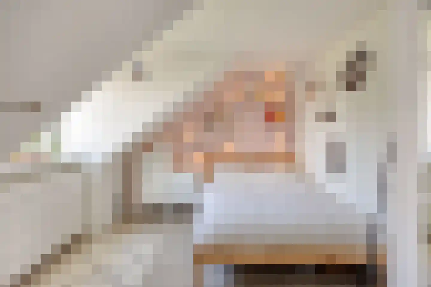 Jekerschans 16 Maastricht thumbnail 28