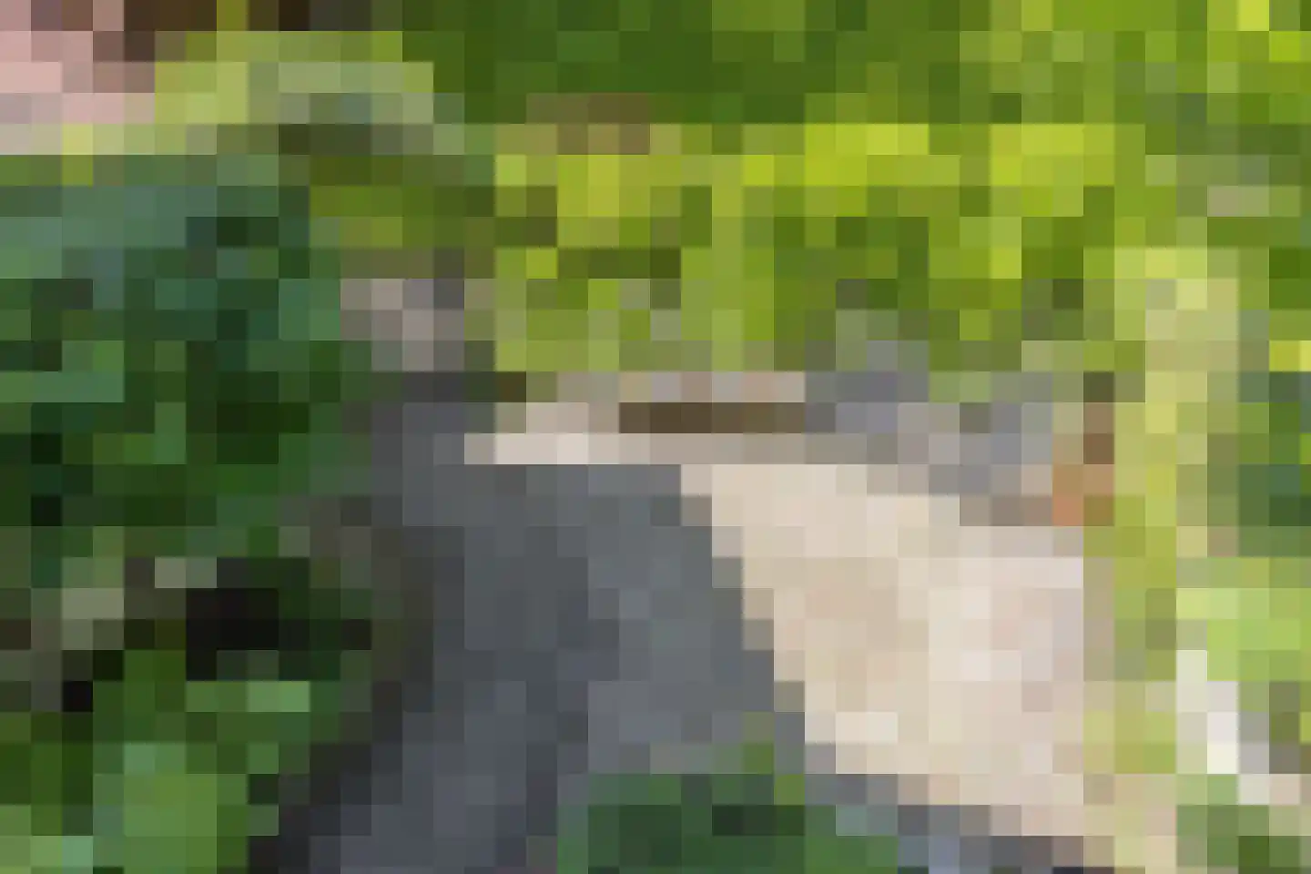 Jekerschans 16 Maastricht thumbnail 38