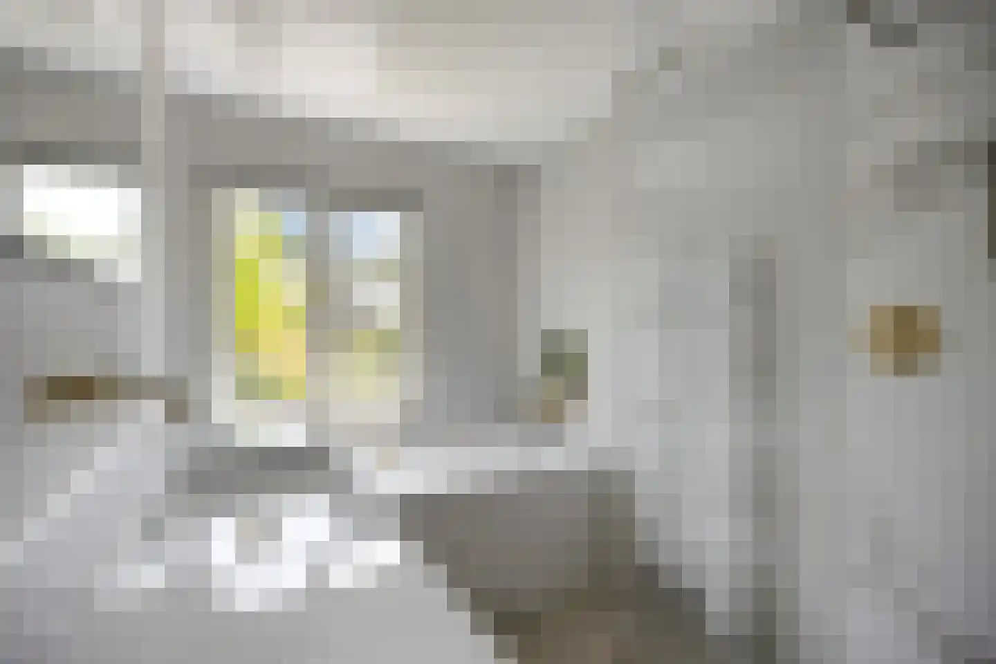 Jekerschans 33 Maastricht thumbnail 17