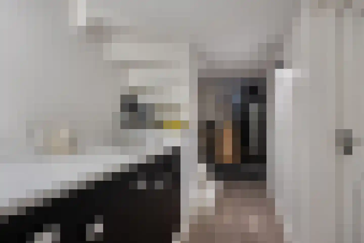 Jekerschans 33 Maastricht thumbnail 26