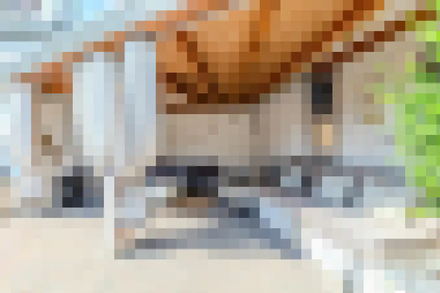 Jekerschans 52 Maastricht thumbnail 32