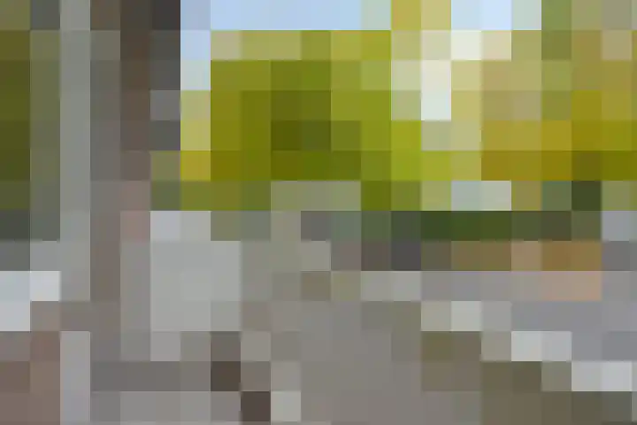 Jekerschans 59 Maastricht thumbnail 11