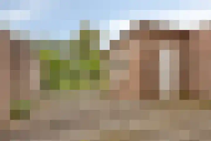 Jekerschans 59 Maastricht thumbnail 19