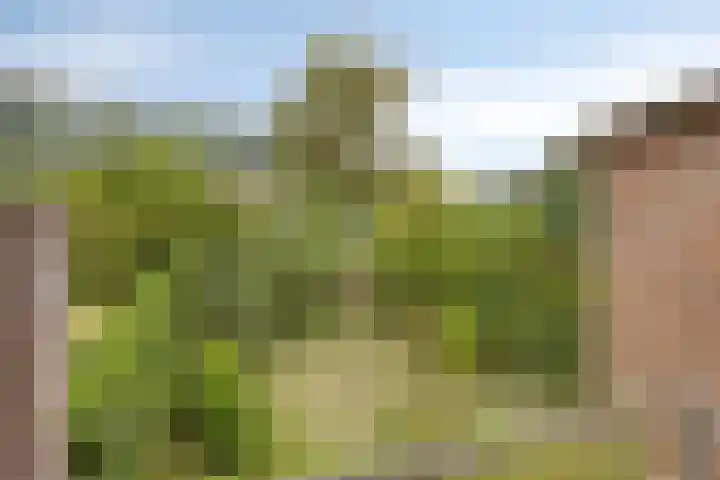 Jekerschans 59 Maastricht thumbnail 20