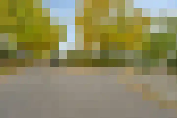 Jekerschans 59 Maastricht thumbnail 29