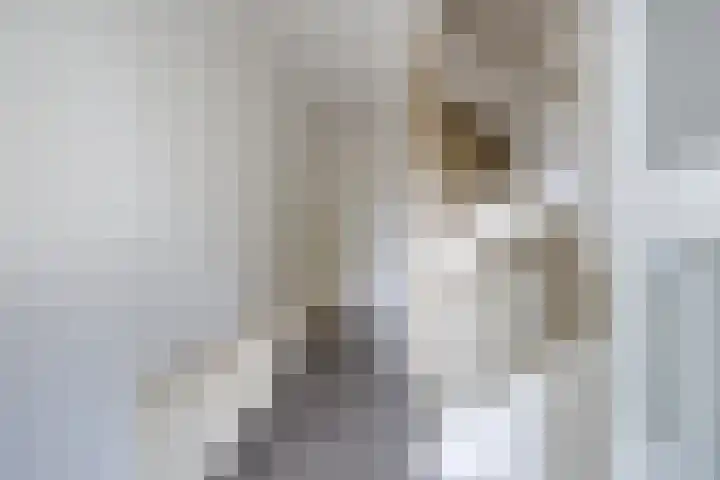 Jekerschans 59 Maastricht thumbnail 8