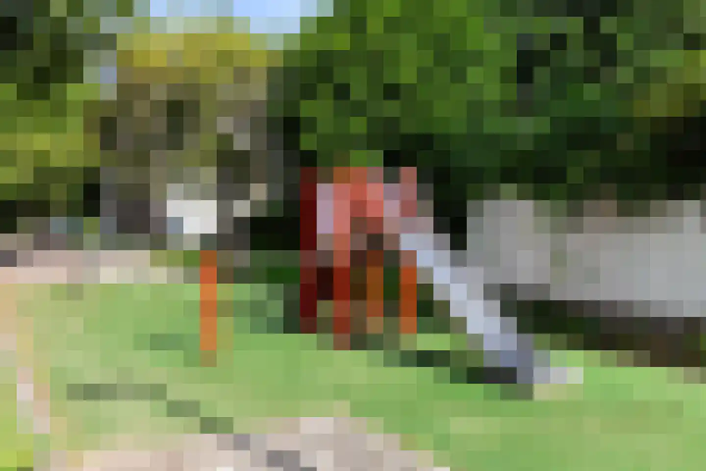 Jekerstraat 13 Dordrecht thumbnail 14
