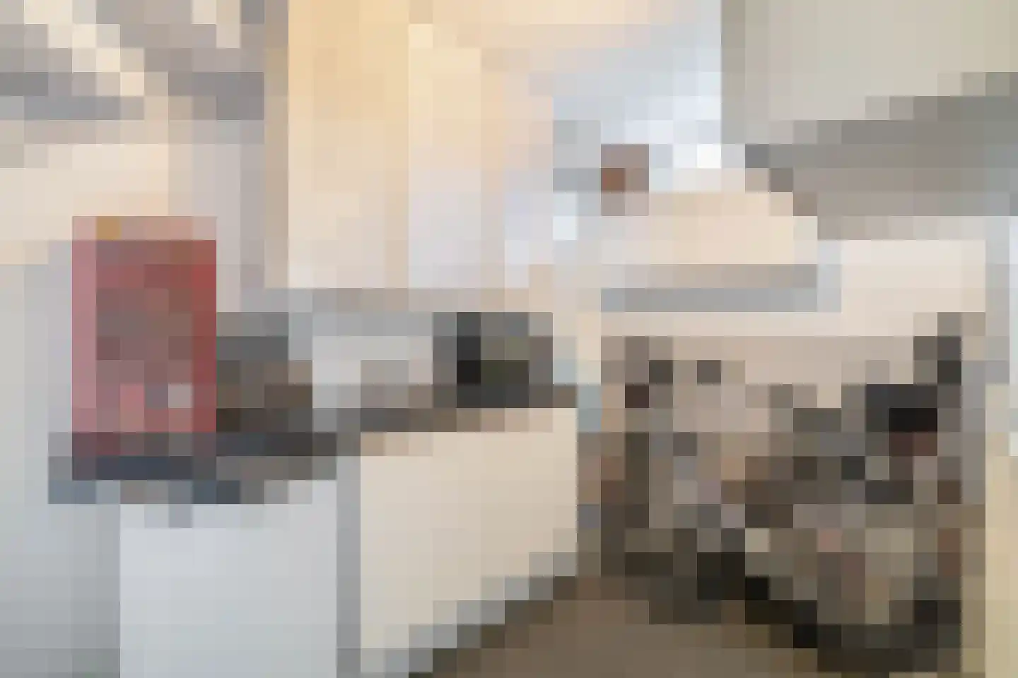 Jekerstraat 28 Den Helder thumbnail 22