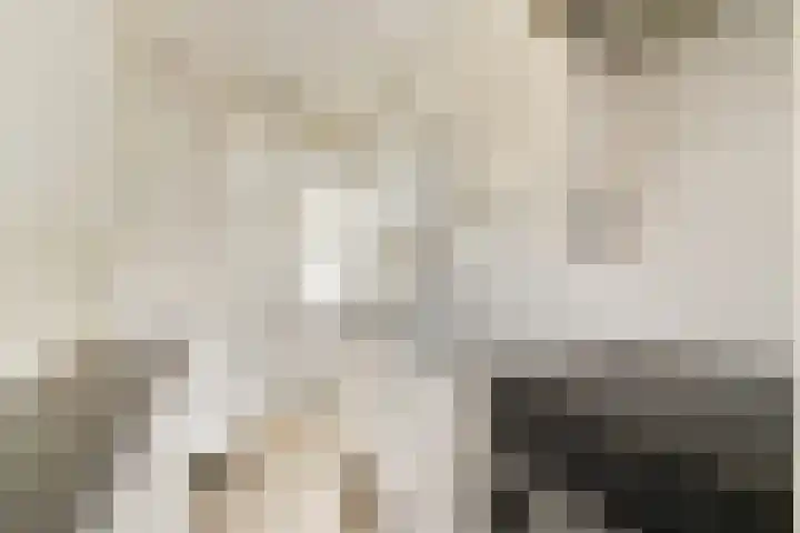 Jekerstraat 31 Dordrecht thumbnail 5