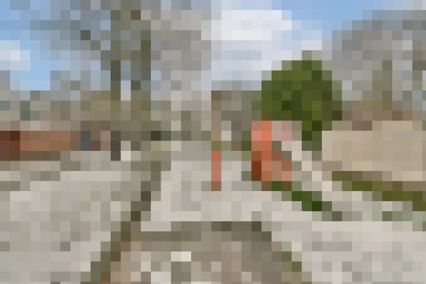 Jekerstraat 33 Dordrecht thumbnail 16