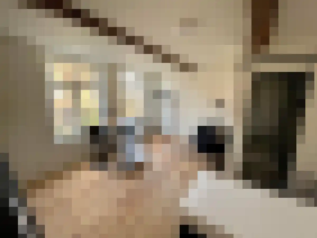 Jekerstraat 33 Maastricht thumbnail 4