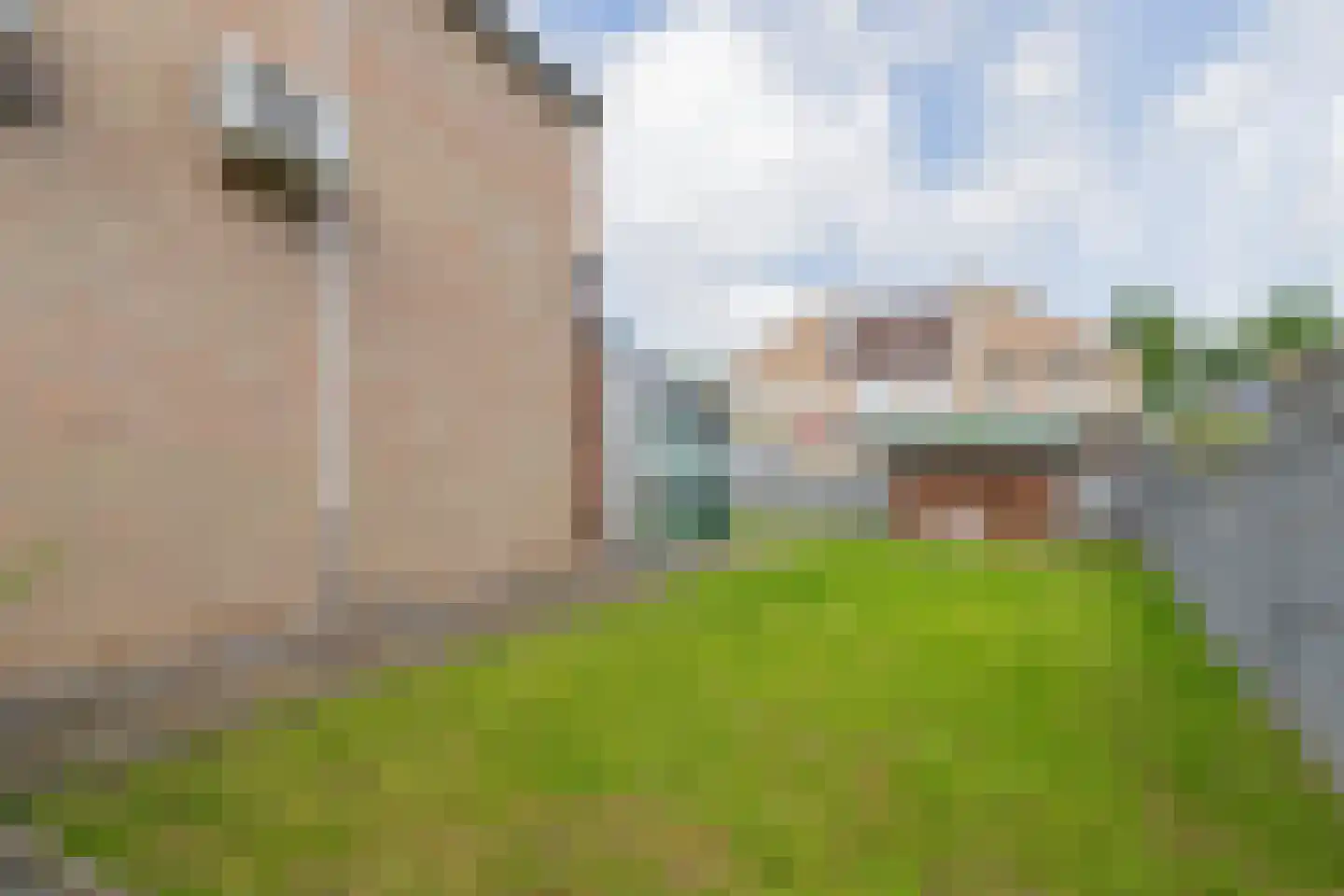 Jekerstraat 37 Geleen thumbnail 15
