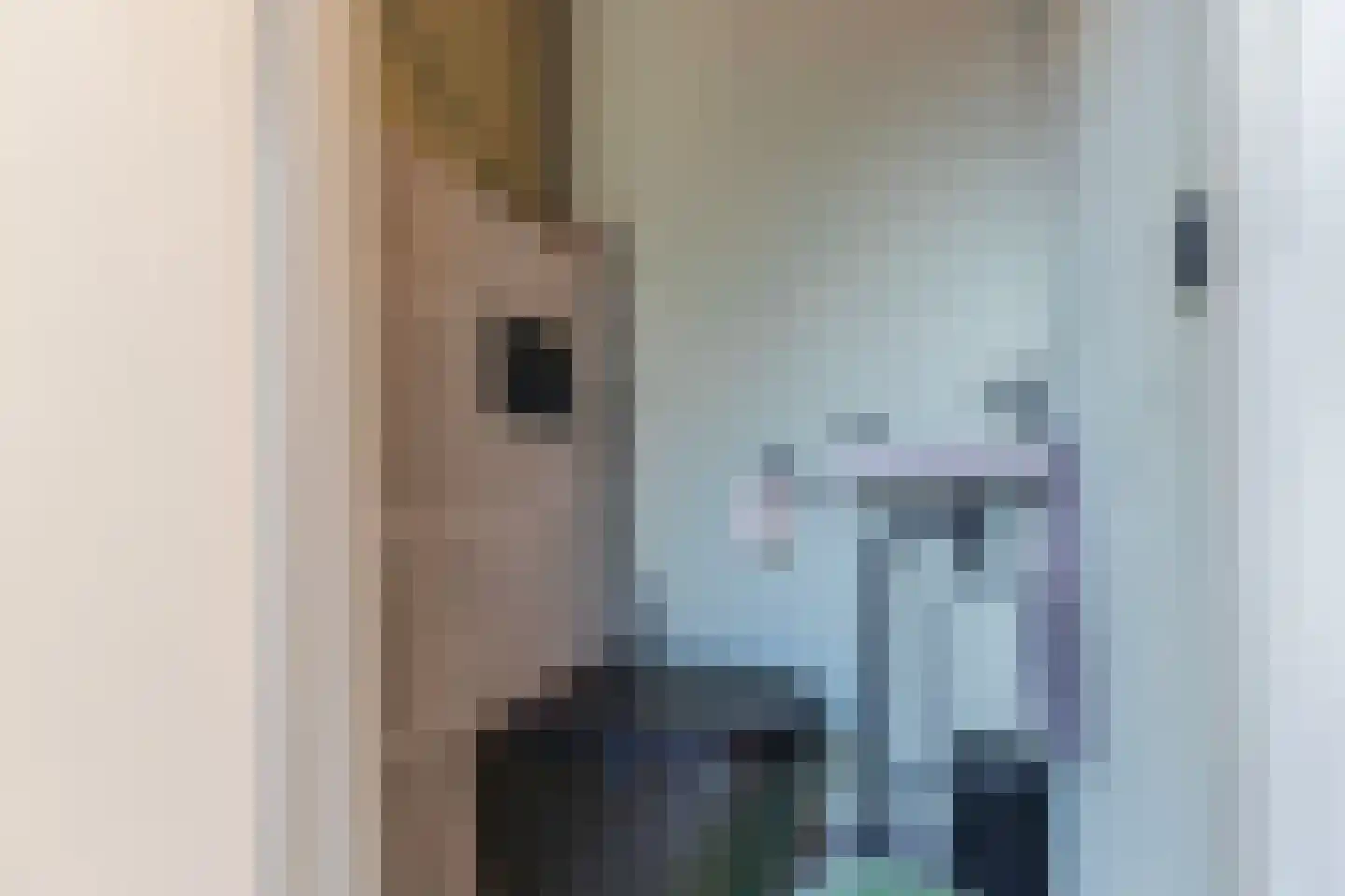 Jekerstraat 37 Geleen thumbnail 5