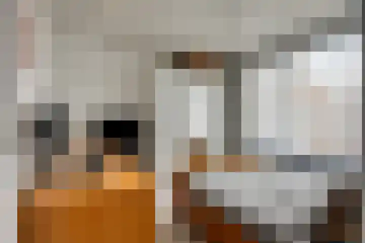 Jekerstraat 4 's-Hertogenbosch thumbnail 11