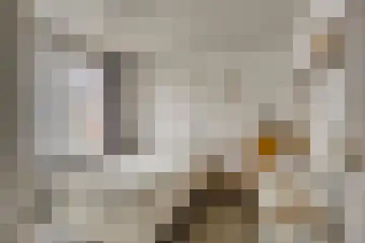Jekerstraat 4 's-Hertogenbosch thumbnail 13