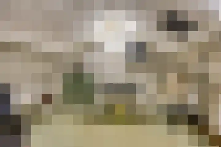 Jekerstraat 4 's-Hertogenbosch thumbnail 20