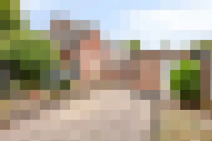 Jekerstraat 4 's-Hertogenbosch thumbnail 23