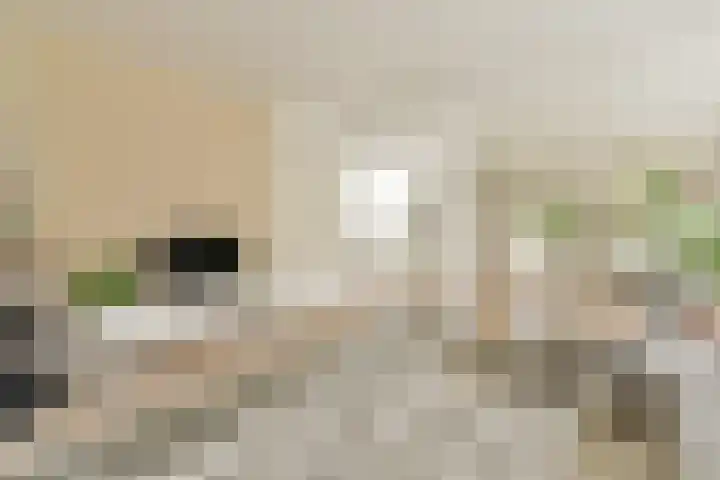 Jekerstraat 46 2 Amsterdam thumbnail 5