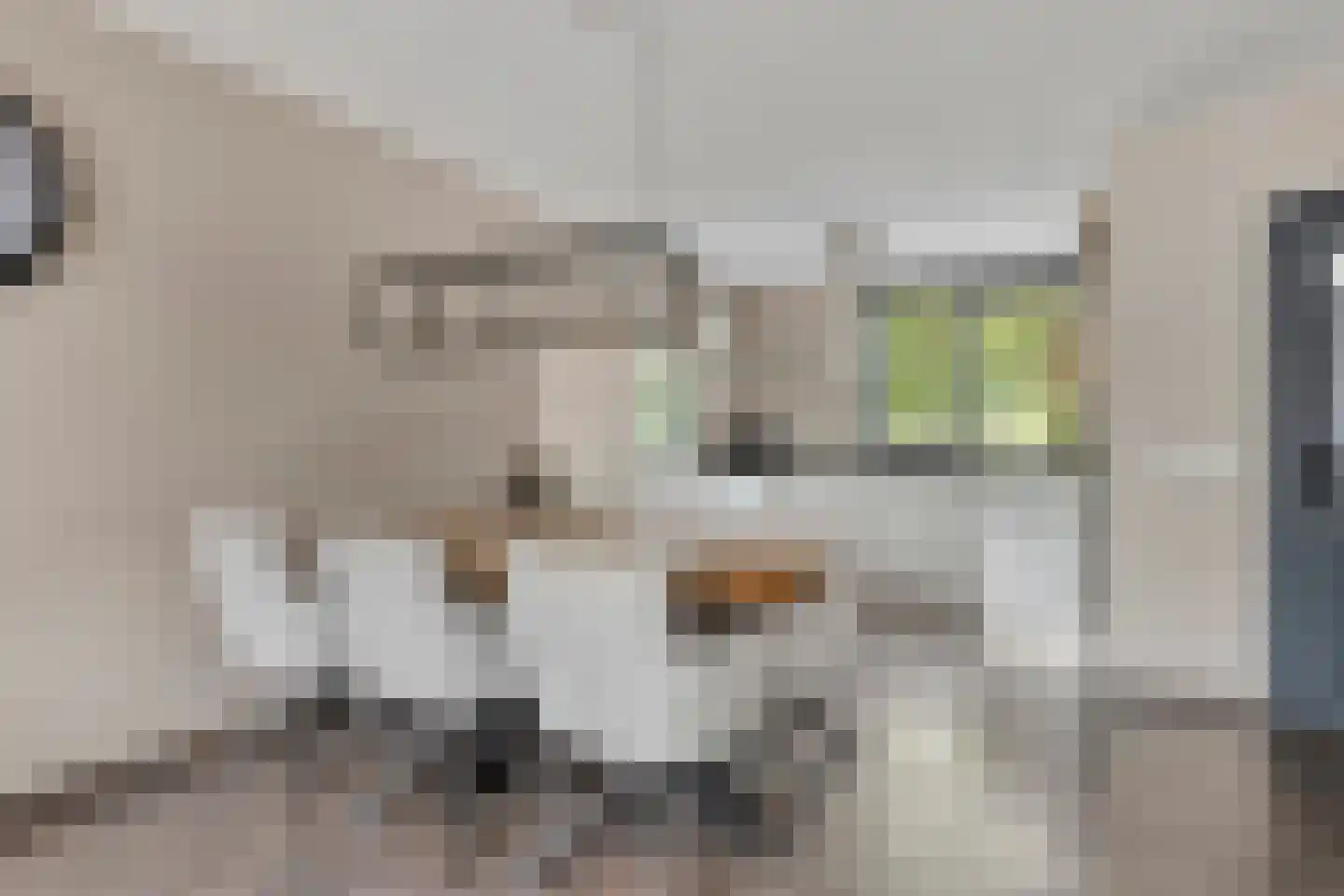 Jekerstraat 51 Helmond thumbnail 20