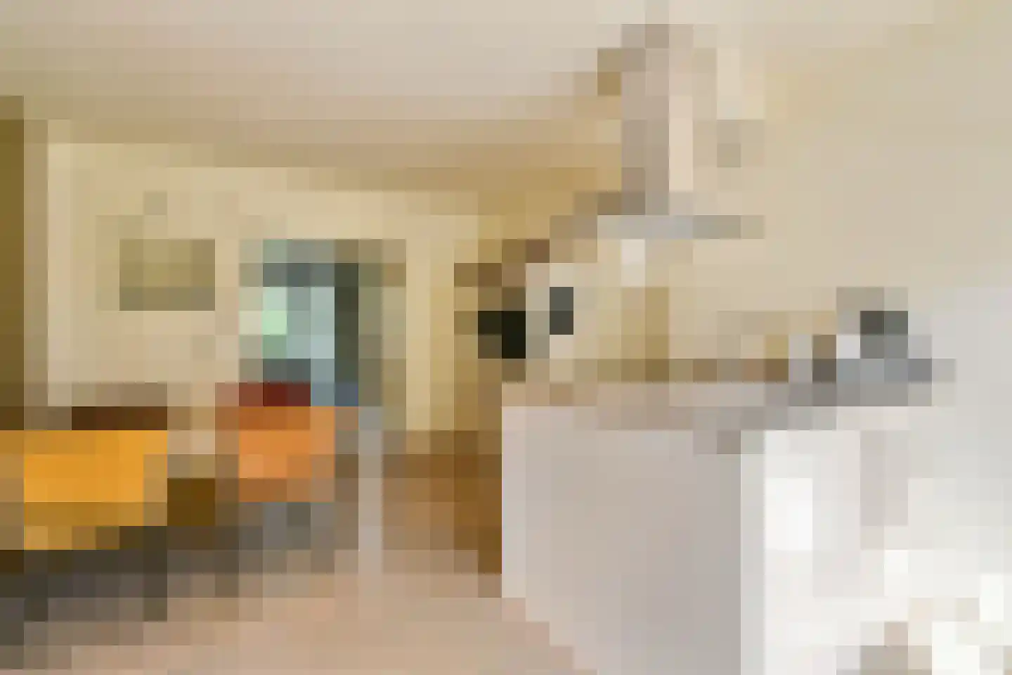 Jekerstraat 63 1 Amsterdam thumbnail 11