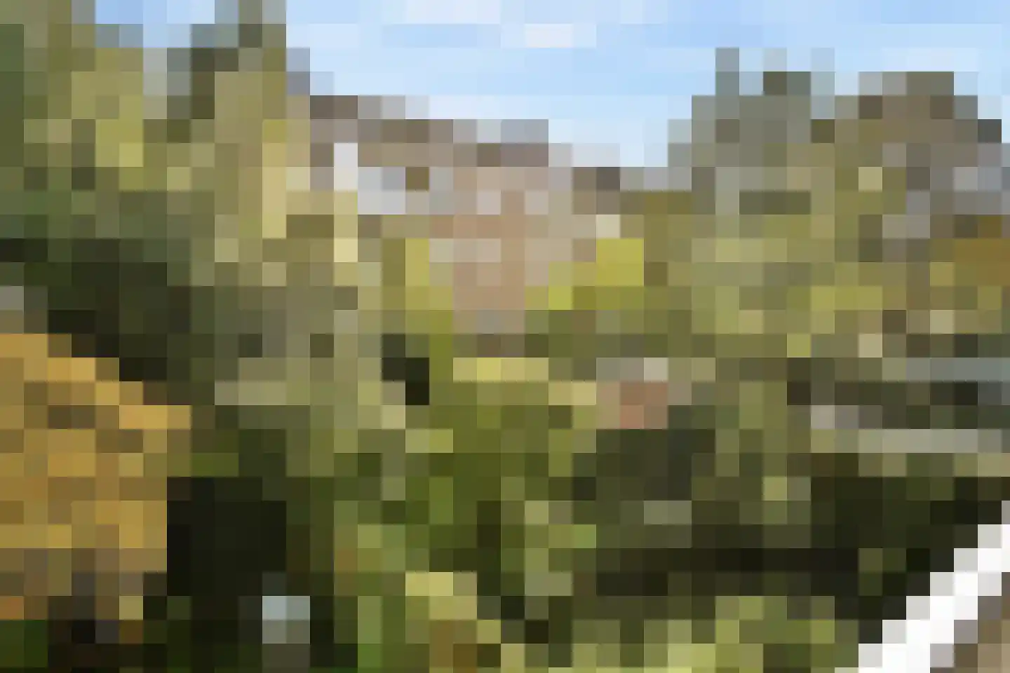 Jekerstraat 63 1 Amsterdam thumbnail 15