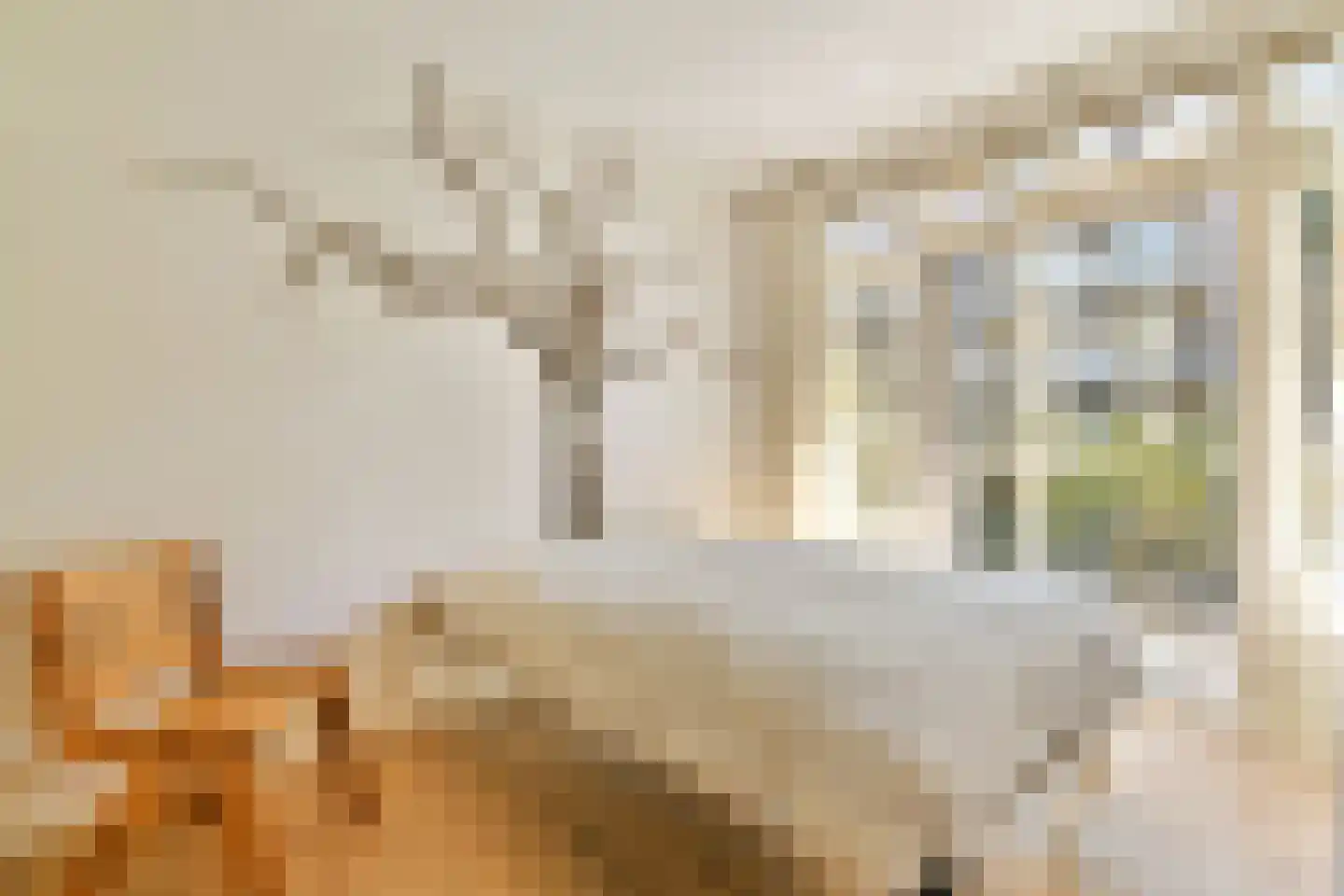 Jekerstraat 63 1 Amsterdam thumbnail 19