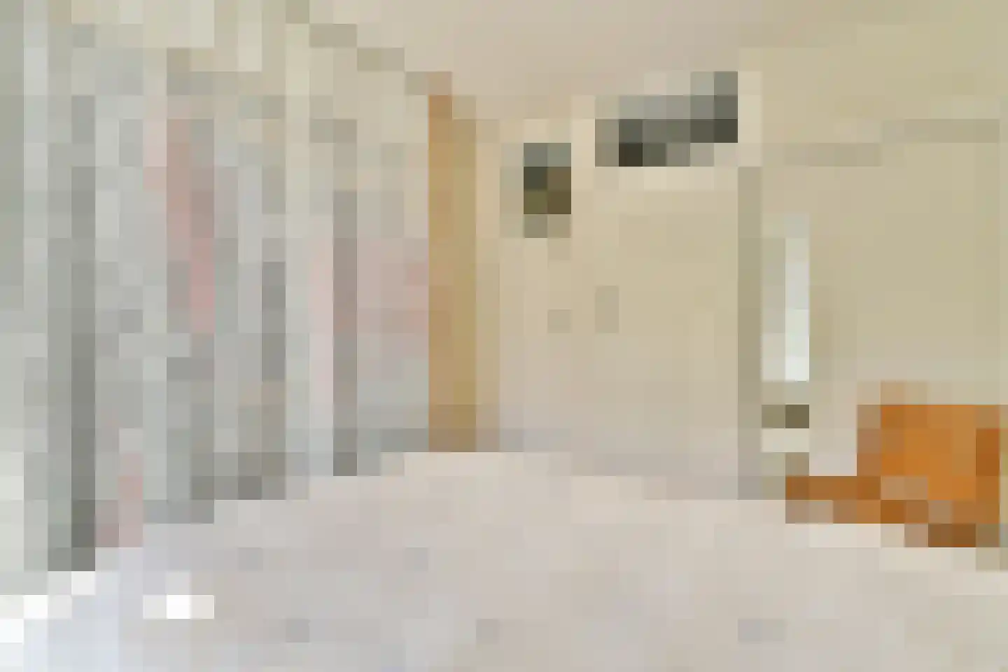 Jekerstraat 63 1 Amsterdam thumbnail 20