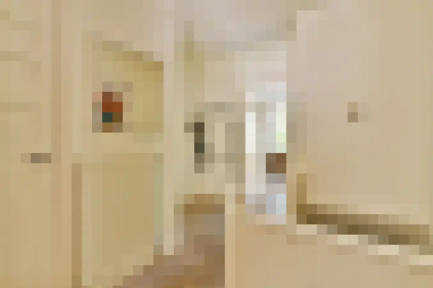 Jekerstraat 63 1 Amsterdam thumbnail 24