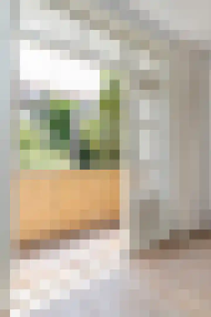 Jekerstraat 67 1 Amsterdam thumbnail 8