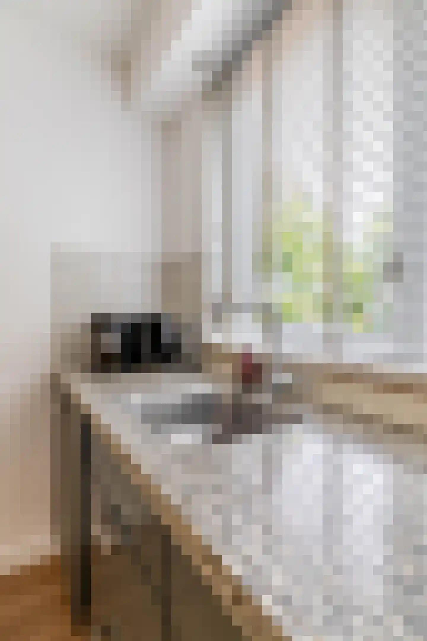 Jekerstraat 67 Helmond thumbnail 19
