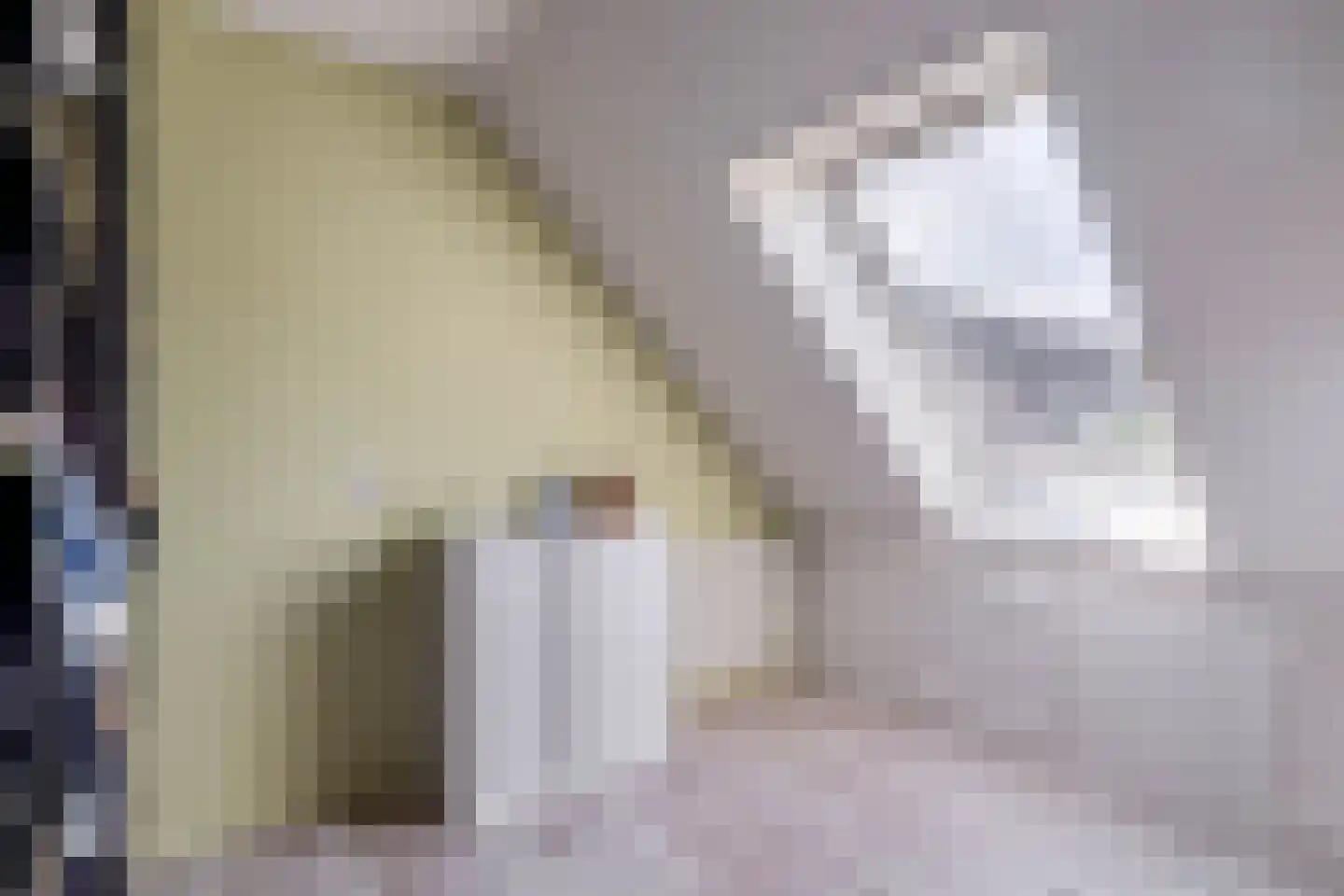 Jekerstraat 67 Helmond thumbnail 28