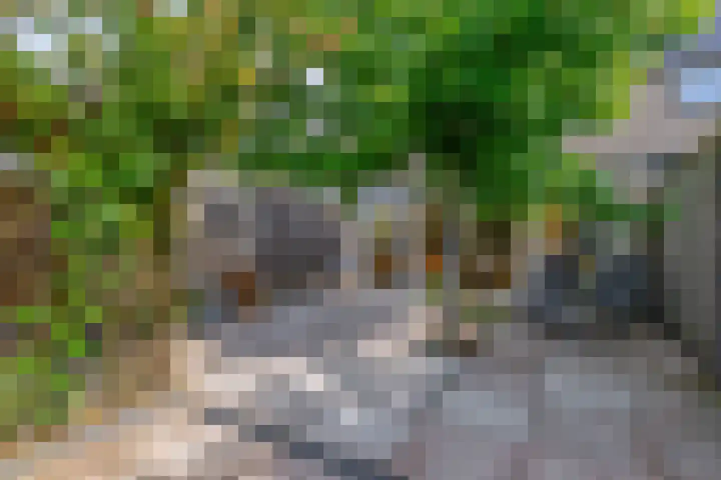 Jekerstraat 67 Helmond thumbnail 36
