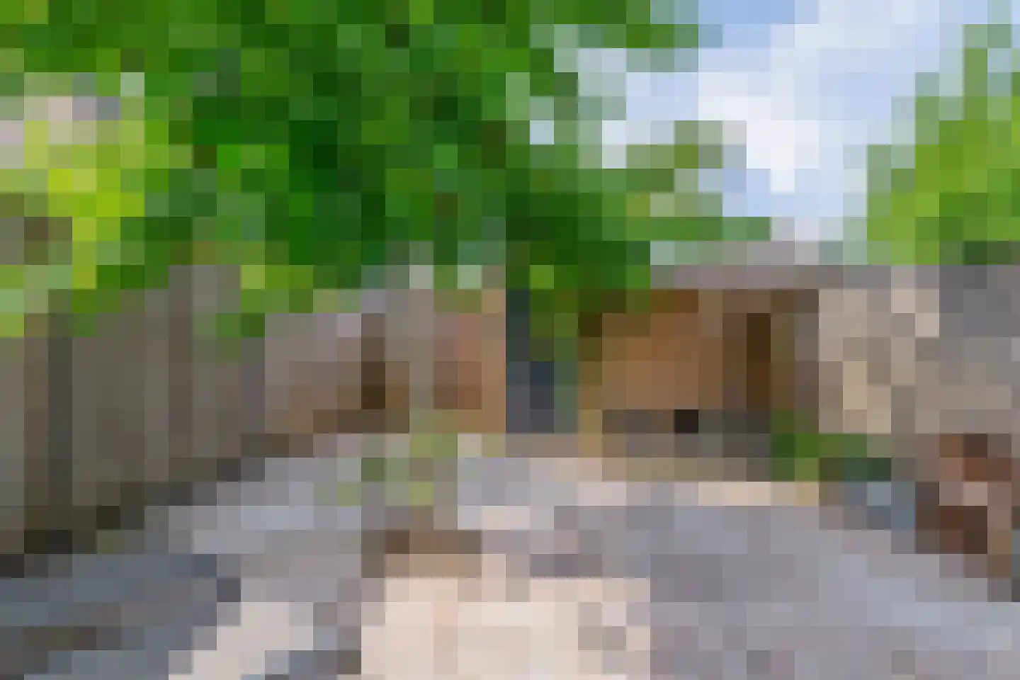 Jekerstraat 67 Helmond thumbnail 37