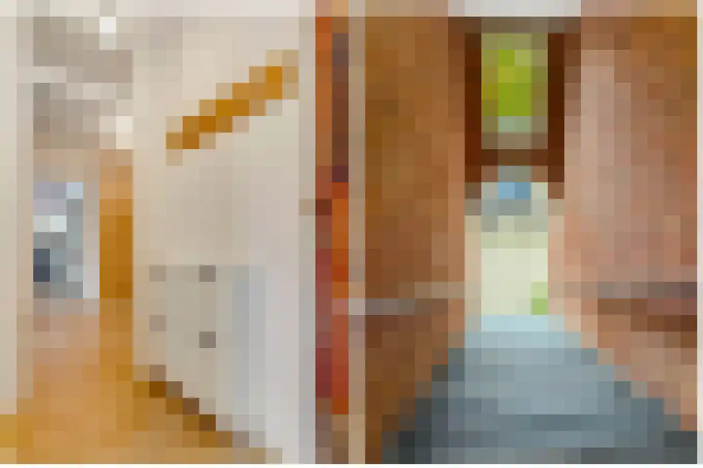Jekerstraat 80 1 Amsterdam thumbnail 9