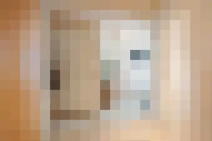 Jekschotstraat 3 A Veghel thumbnail 14