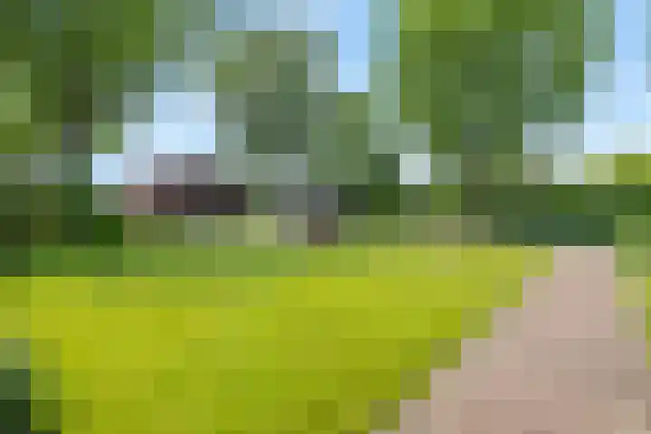 Jekschotstraat 3 A Veghel thumbnail 28