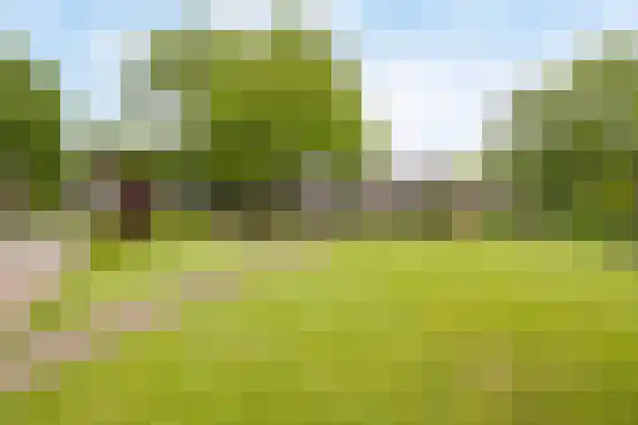 Jekschotstraat 3 A Veghel thumbnail 31