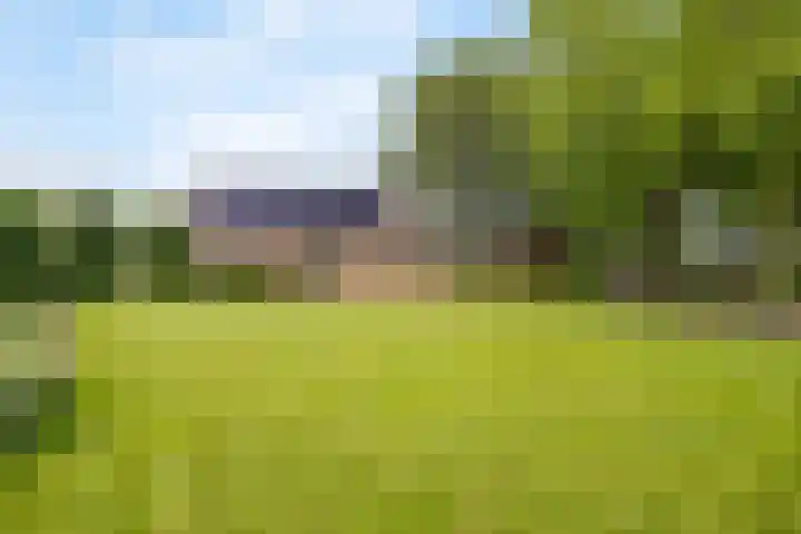 Jekschotstraat 3 A Veghel thumbnail 32