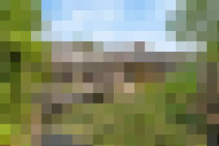 Jekschotstraat 3 A Veghel thumbnail 33