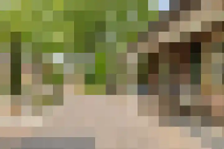 Jekschotstraat 3 A Veghel thumbnail 35