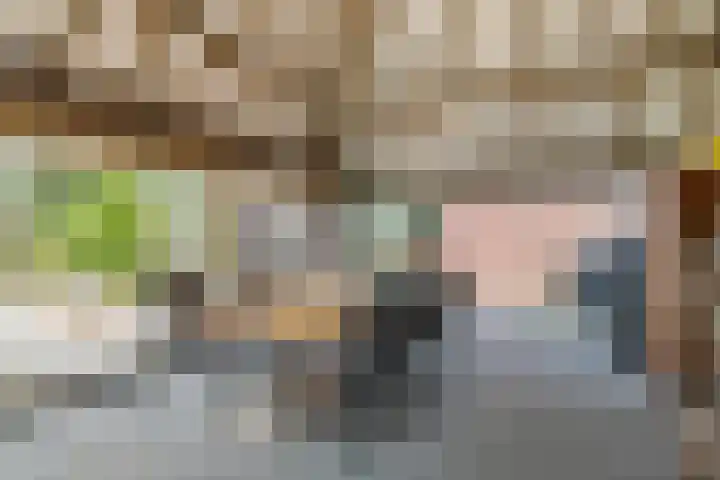 Jekschotstraat 3 A Veghel thumbnail 38