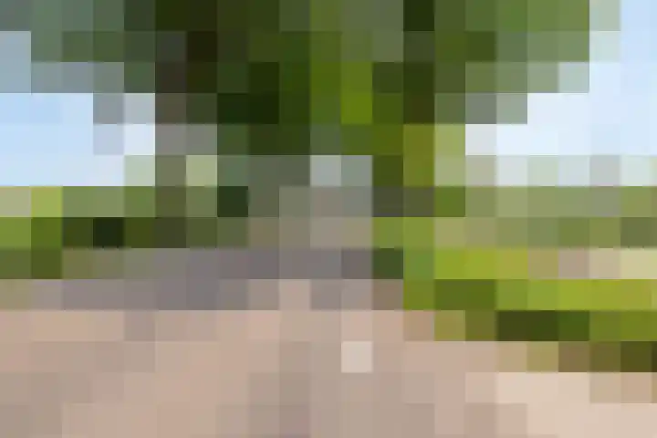 Jekschotstraat 3 A Veghel thumbnail 39