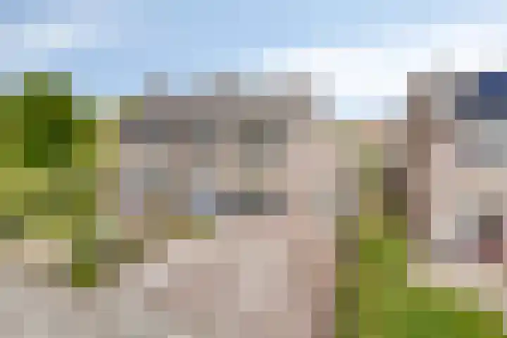 Jel Rinckesstrjitte 5 Tzummarum