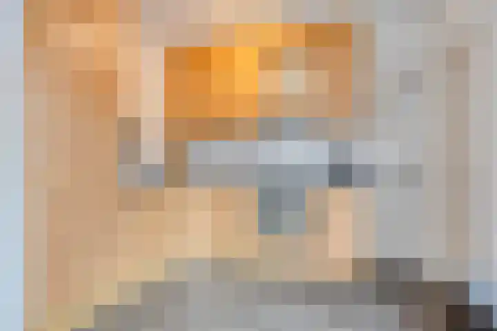 Jel Rinckesstrjitte 5 Tzummarum thumbnail 10