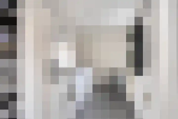 Jel Rinckesstrjitte 5 Tzummarum thumbnail 11