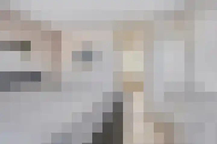 Jel Rinckesstrjitte 5 Tzummarum thumbnail 14