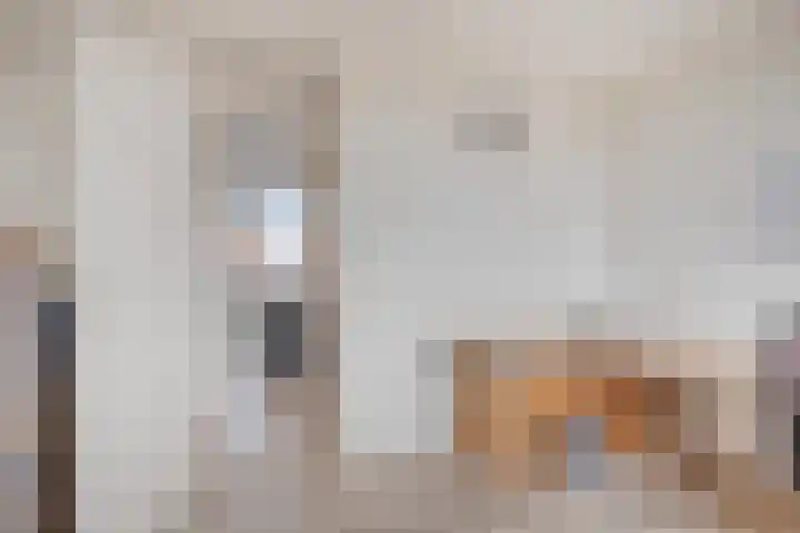 Jel Rinckesstrjitte 5 Tzummarum thumbnail 16