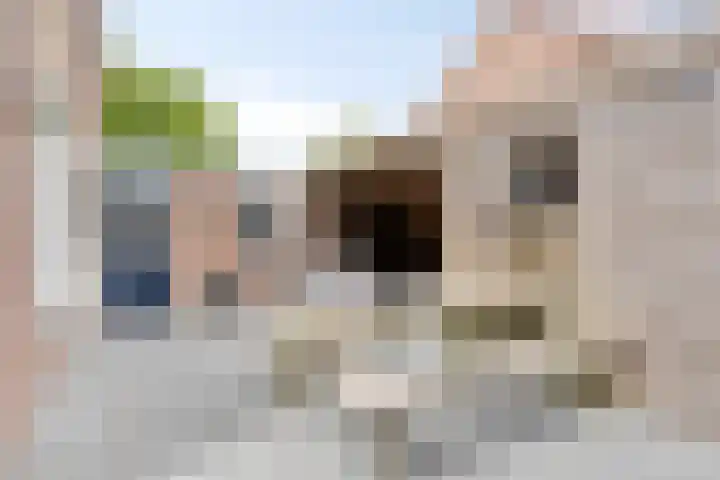 Jel Rinckesstrjitte 5 Tzummarum thumbnail 22
